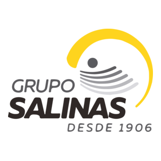 Grupo Salinas · Desde 1906